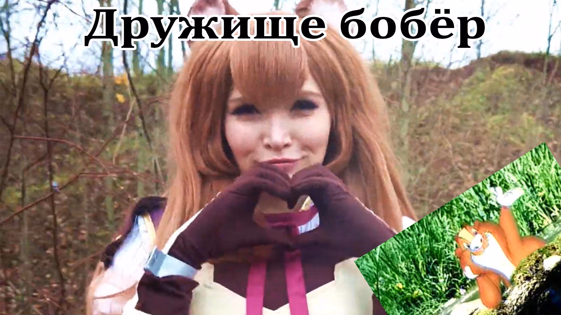 Привет Бобер ! Дружище бобер и новые приключения в Польше